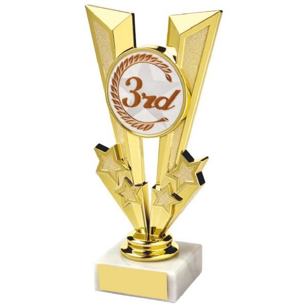 Gold coloured budget trophy with a 3rd place activity centre added.