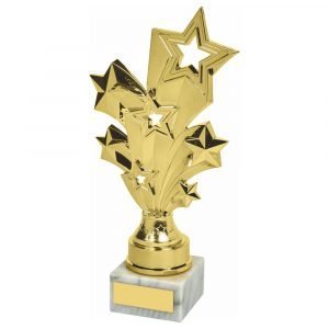 Multi-Star Trophy 19cms