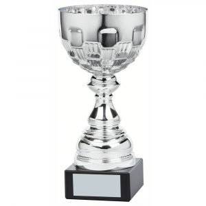 Chrome Coloured Presentation Trophy