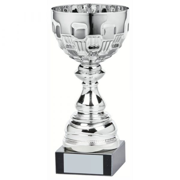 Silver coloured presentation bowl trophy B
