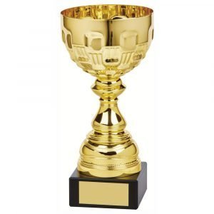 Gilt coloured presentation bowl trophy A