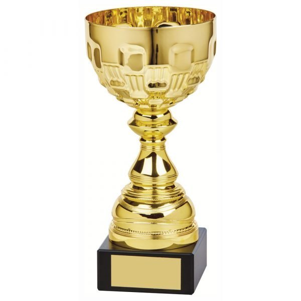 Gilt coloured presentation bowl trophy A