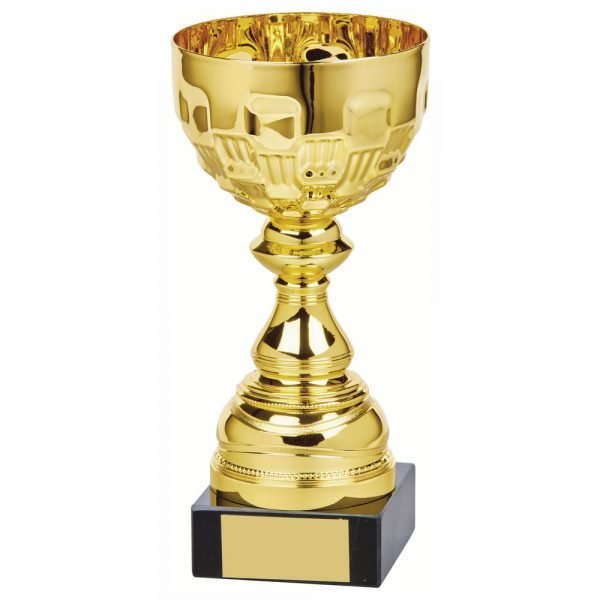 gold colour presentation bowl trophy B