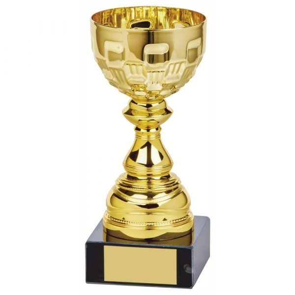 gold colour presentation bowl trophy C