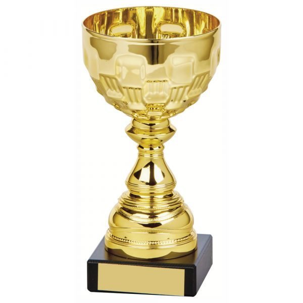 gold colour presentation bowl trophy D
