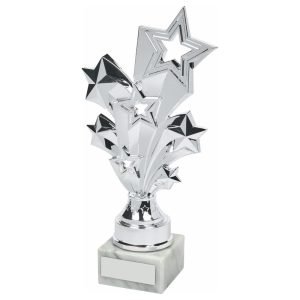 Multi-Star Silver Trophy